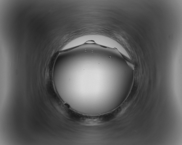 X0000086080213200703301136