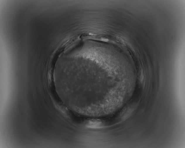 X0000086080214200703301136