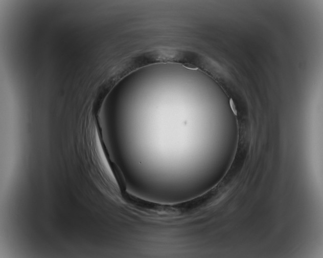 X0000086080215200703301136