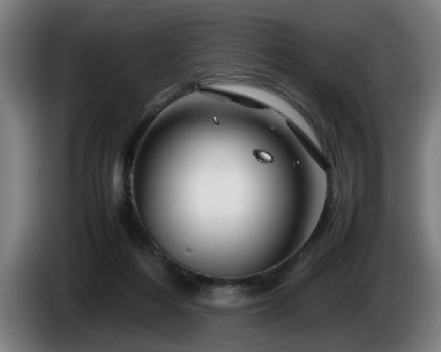 X0000086080216200703301136