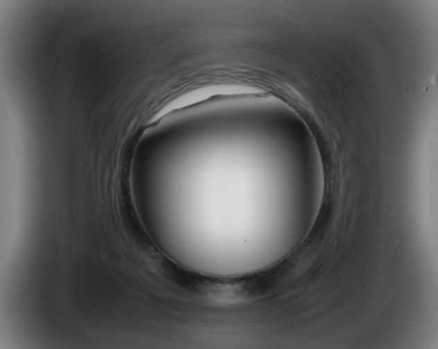 X0000086080217200703301136