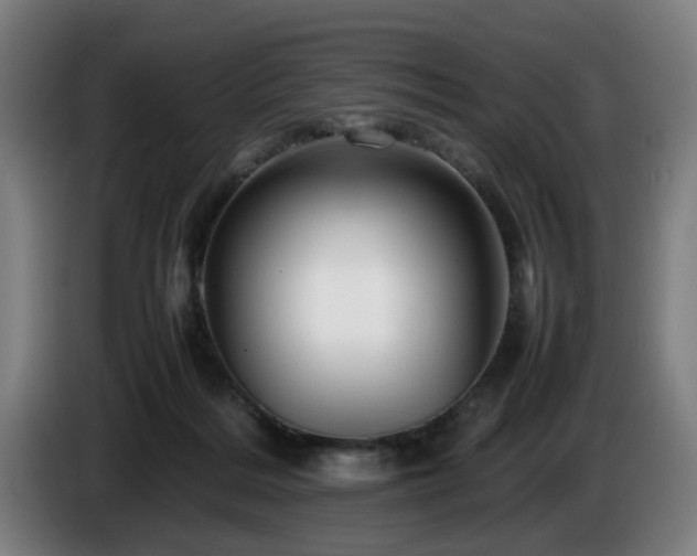 X0000086080220200703301136