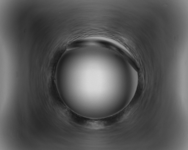 X0000086080221200703301136