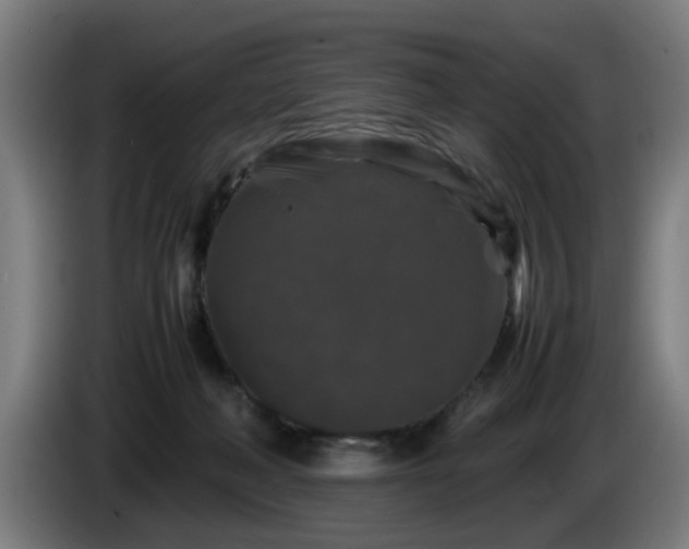 X0000086080222200703301136