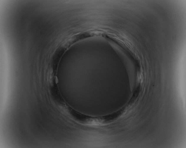 X0000086080223200703301136