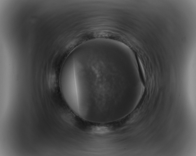 X0000086080224200703301136