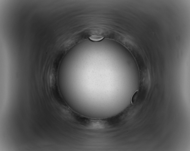 X0000086080226200703301136