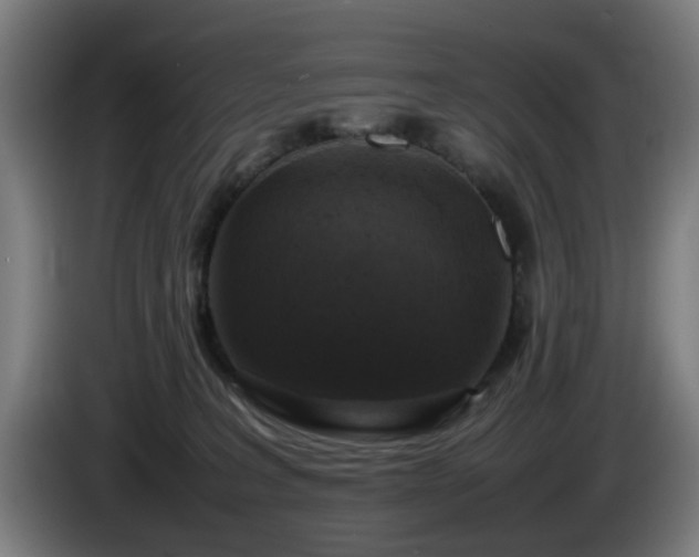 X0000086080227200703301136