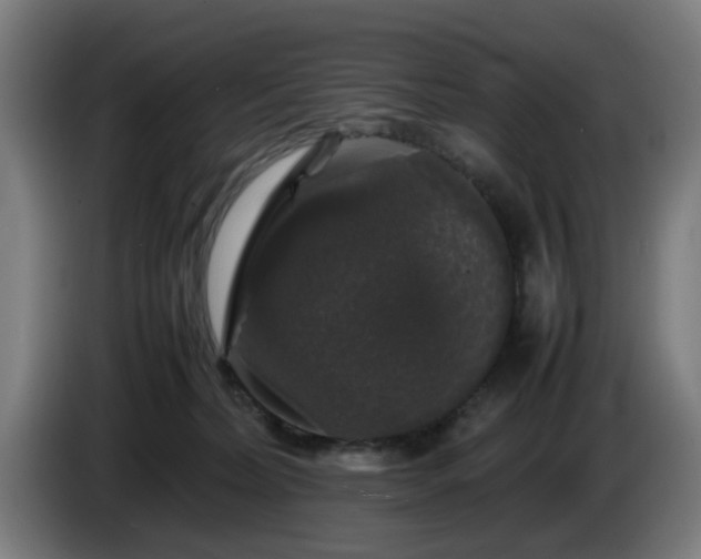 X0000086080228200703301136