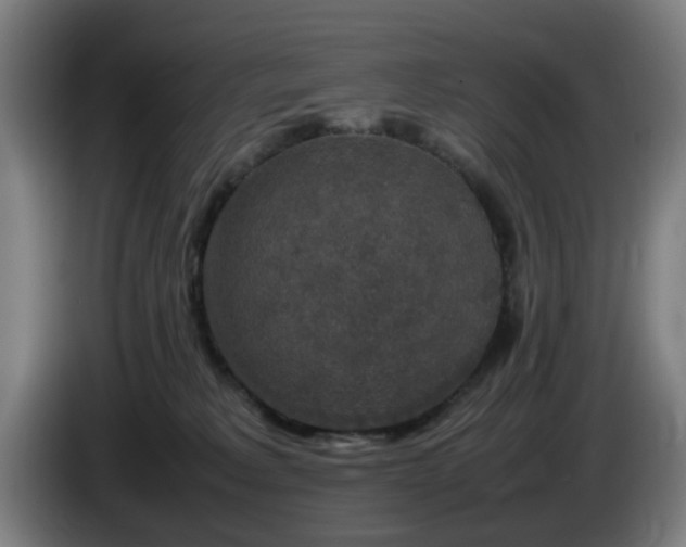 X0000086080229200703301136