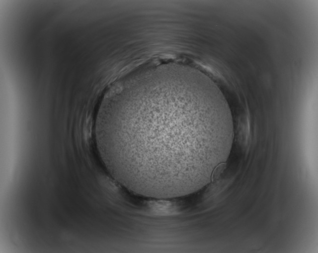 X0000086080230200703301136