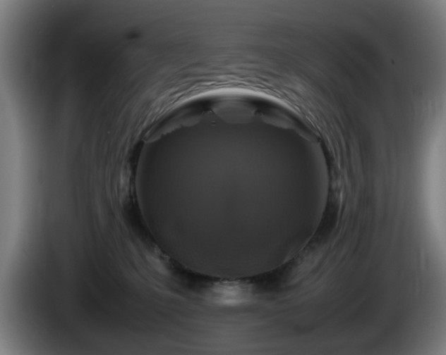 X0000086080231200703301136