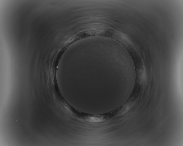 X0000086080232200703301136