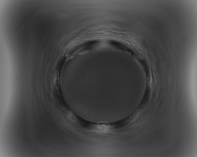 X0000086080233200703301136