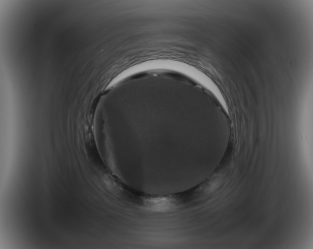 X0000086080237200703301135