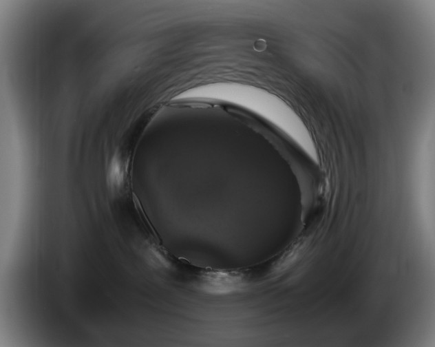 X0000086080239200703301135