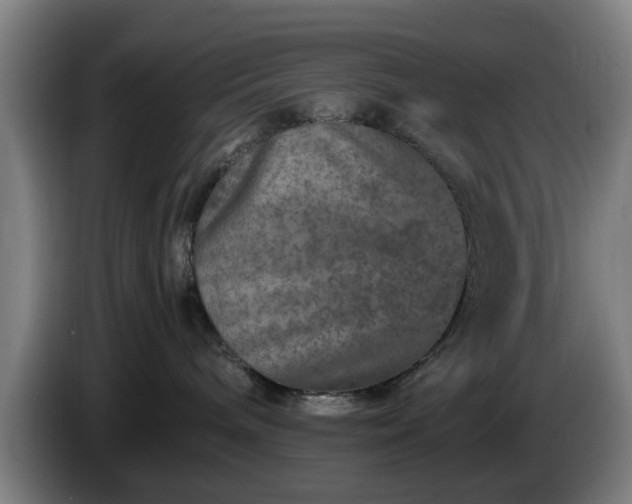 X0000086080240200703301135