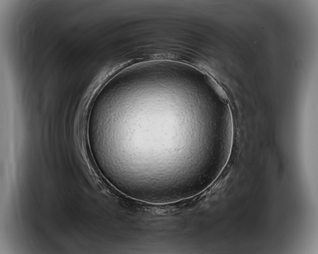 X0000086080241200703301135