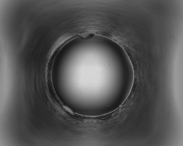 X0000086080242200703301135