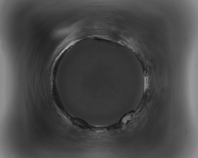 X0000086080243200703301135