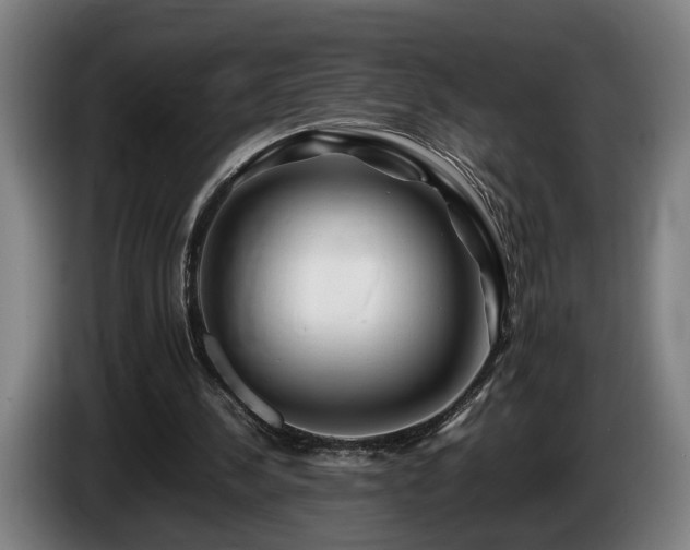 X0000086080244200703301135