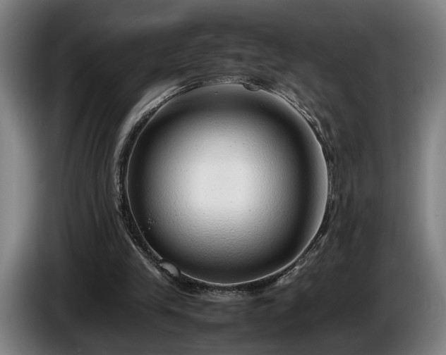 X0000086080245200703301135