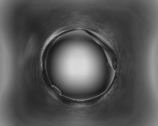 X0000086080246200703301135