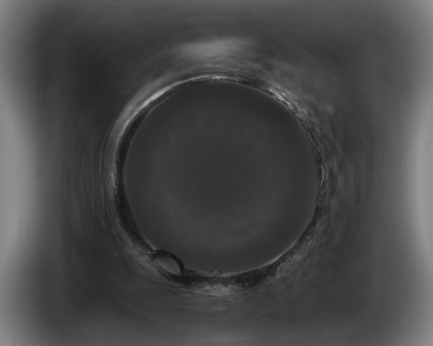 X0000086080247200703301135