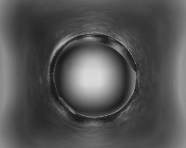 X0000086080248200703301135