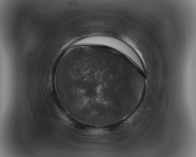 X0000086080249200703301135