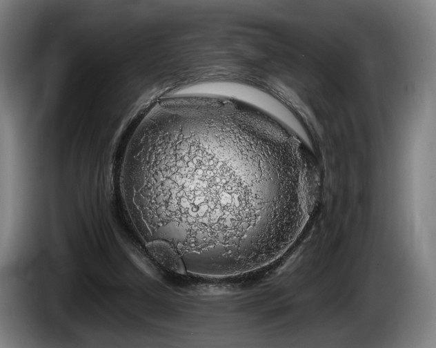 X0000086080250200703301135