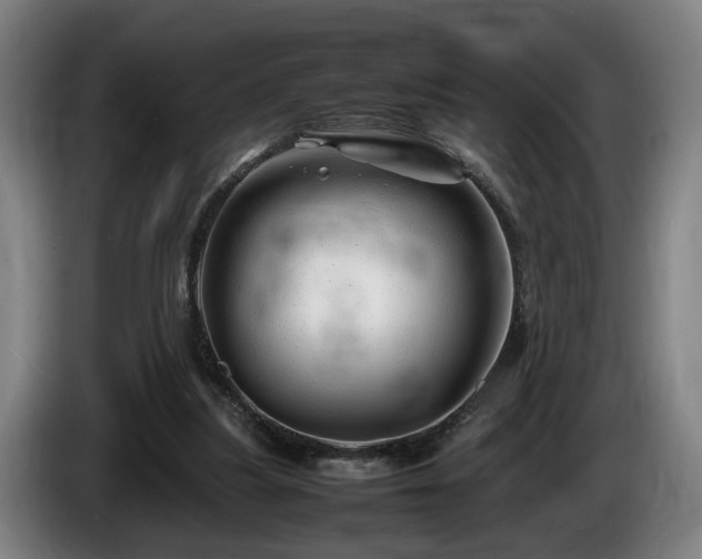 X0000086080251200703301135