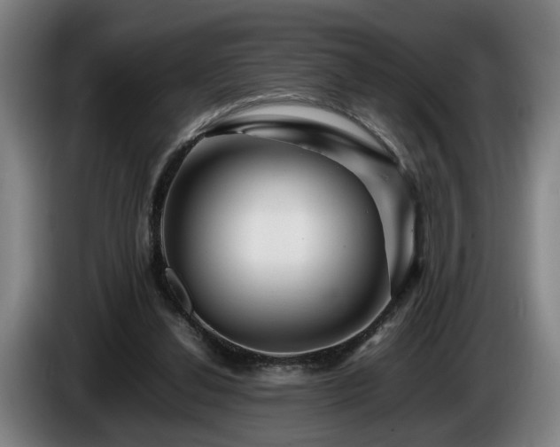 X0000086080252200703301135