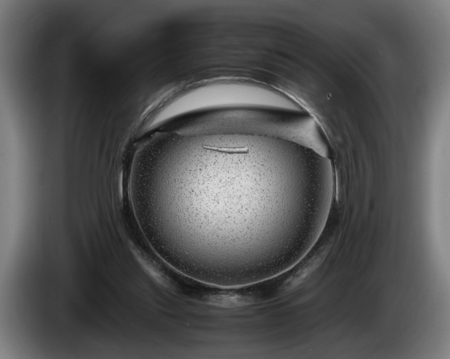 X0000086080253200703301135