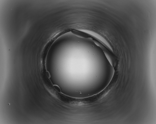 X0000086080254200703301135