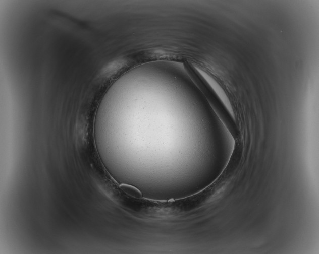 X0000086080255200703301135