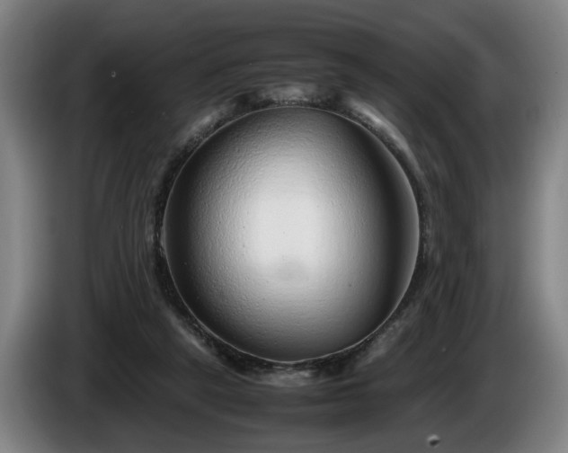 X0000086080257200703301135