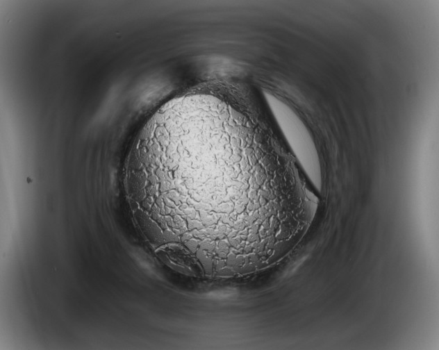 X0000086080258200703301135