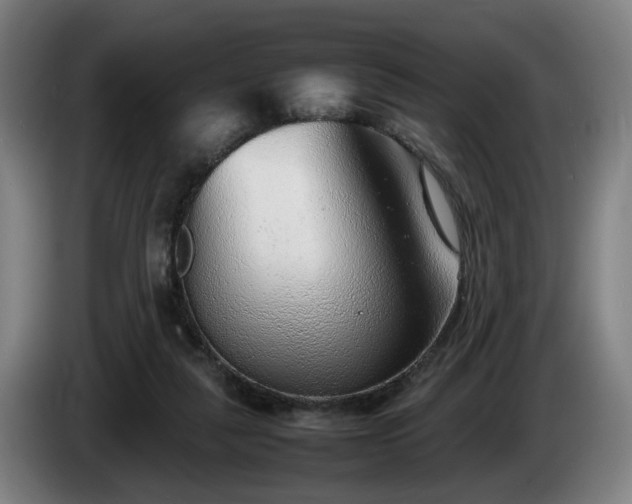 X0000086080259200703301135