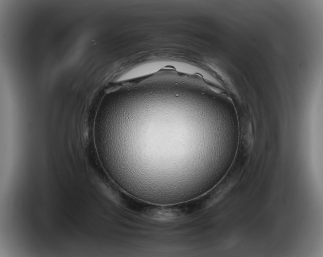 X0000086080261200703301135