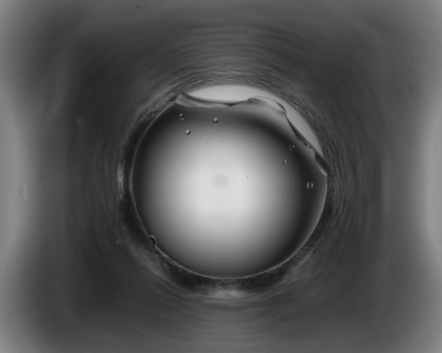 X0000086080262200703301135