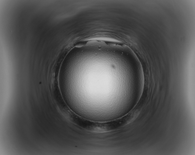 X0000086080263200703301135