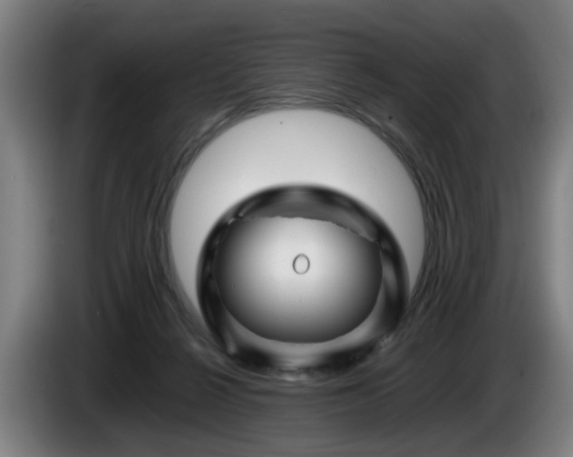 X0000086080264200703301135