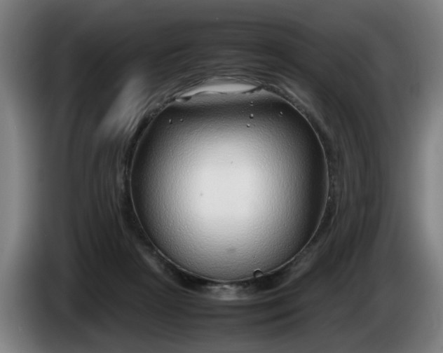 X0000086080265200703301135