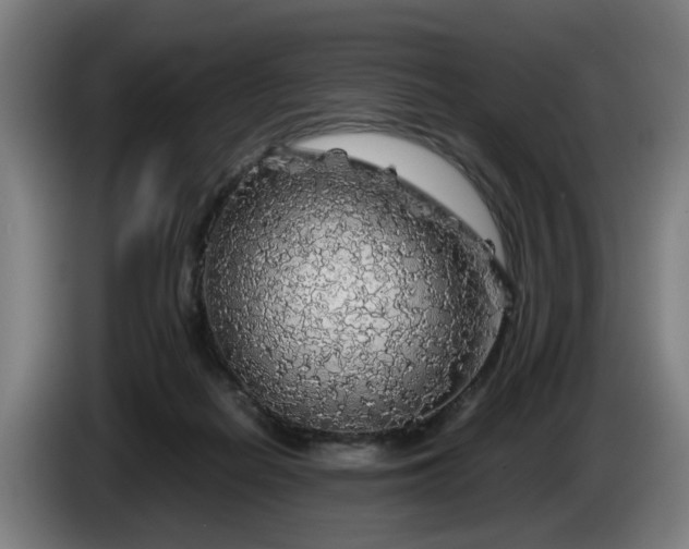 X0000086080266200703301135