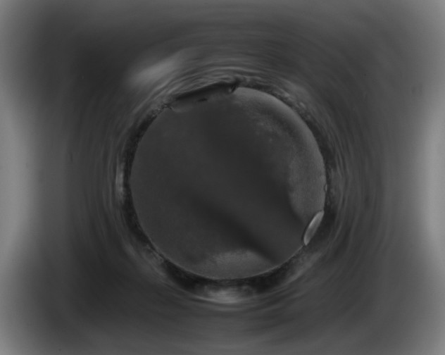 X0000086080267200703301135