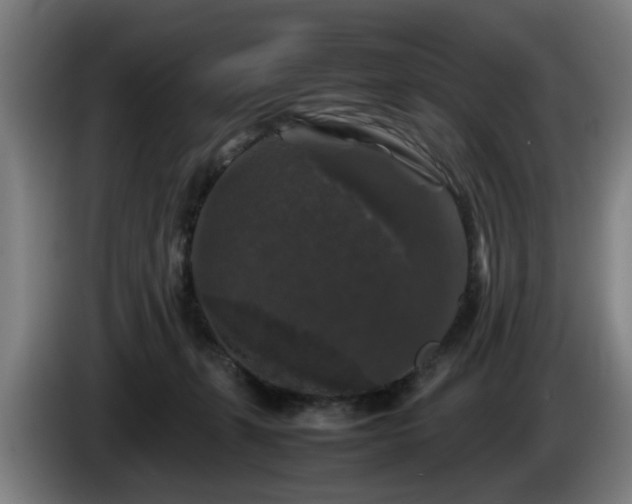 X0000086080271200703301135