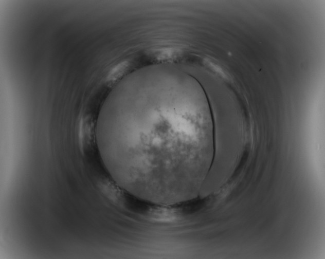 X0000086080276200703301135