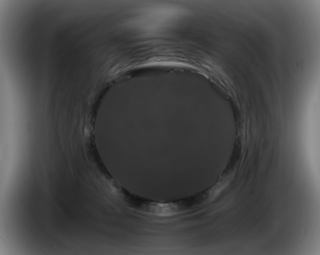 X0000086080277200703301135