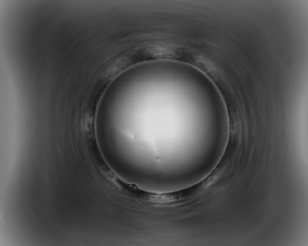 X0000086080281200703301135